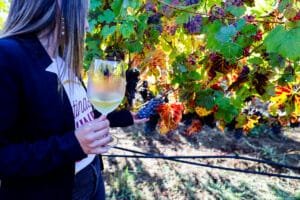Juanita Diusabá a brave oenology student in Sonoma County