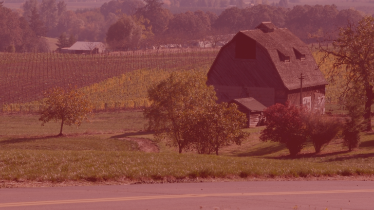 OUR LEGACY HARVESTED LAUNCHES INAUGURAL BIPOC INTERNSHIP PROGRAM DEDICATED TO BRINGING DIVERSITY TO WINE INDUSTRY