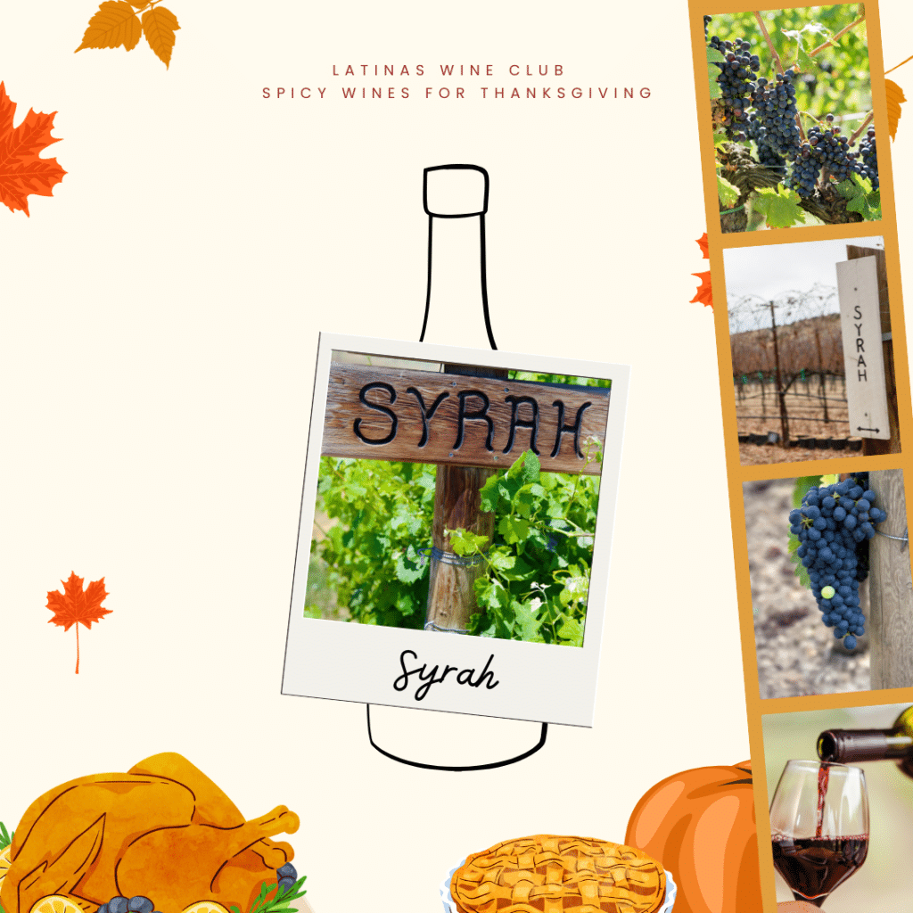 How do you pair Syrah for Thanksgiving? Syrah complements turkey and savory stuffing, especially if sausage or nuts are included. The wine's fruity acidity works well with cranberry sauce, while its earthiness enhances roasted root vegetables. If you're serving ham, Syrah's smoky notes are a perfect match, and they can balance the sweetness of pumpkin or pecan pie for dessert.