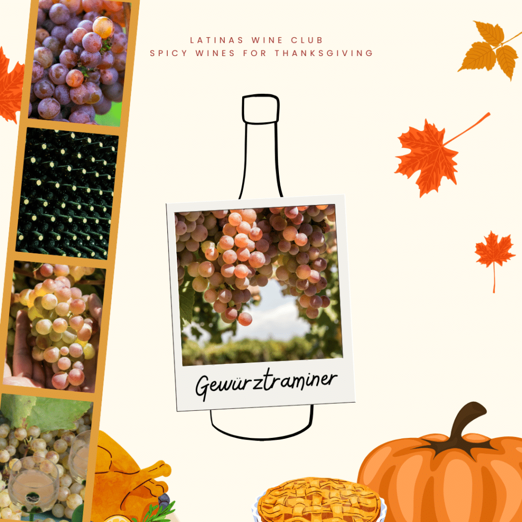 How to pair Gewürztraminer for Thanksgiving? Its floral and fruity notes complement roasted turkey and herbs balancing fruit-based stuffing and rich, sweet gravies. The wine also pairs nicely with roasted sweet vegetables and creamy cheeses like brie or gouda. Additionally, it elevates desserts such as apple pie or pumpkin cheesecake. Serving Gewürztraminer slightly chilled at 45-50°F maximizes its refreshing qualities.