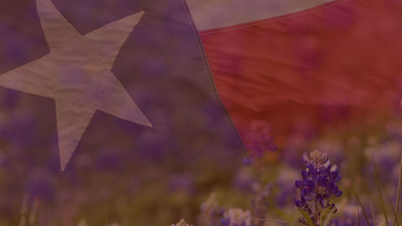 Latinas Wine Club Expands to Austin, Texas, Bolstering Community and ...